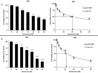 MiR-34c-5p Inhibition Affects Bax/Bcl2 Expression and Reverses Bortezomib Resistance in Multiple Myeloma Cells