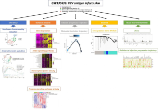 Construction of a pathological model of skin lesions in acute herpes zoster virus infection and its molecular mechanism