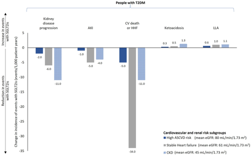 SGLT2 Inhibitors – The New Standard of Care for Cardiovascular, Renal and Metabolic Protection in Type 2 Diabetes: A Narrative Review