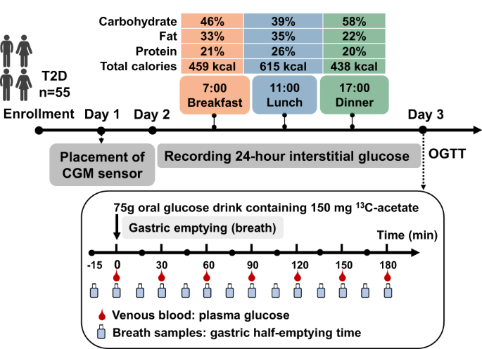 Gastric emptying of a glucose drink is predictive of the glycaemic response to oral glucose and mixed meals, but unrelated to antecedent glycaemic control, in type 2 diabetes