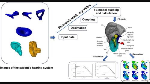 Semi-automatic algorithm to build finite element numerical models of the human hearing system from Micro-CT data