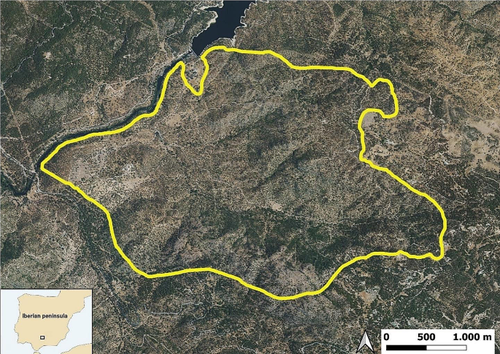 Diet comparison between sympatric European bison, red deer and fallow deer in a Mediterranean landscape