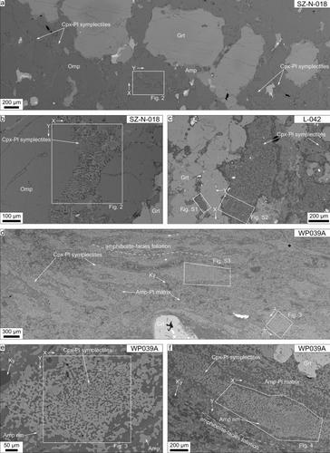 Omphacite breakdown: nucleation and deformation of clinopyroxene-plagioclase symplectites