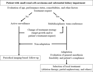 Ablation of Kidney Tumors in Patients with Substantial Kidney Impairment: Current Status