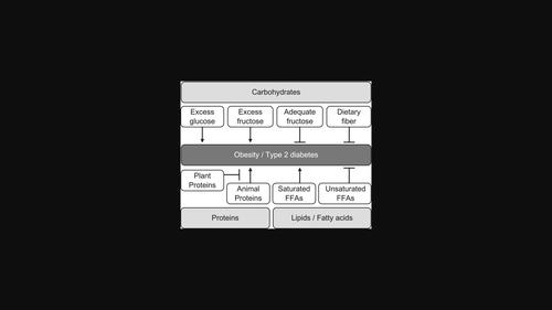 Nutrient quality in dietary therapy for diabetes and diabetic kidney disease