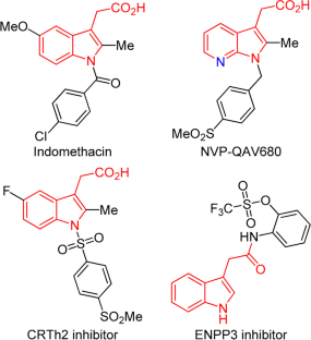 Discovery of indole-3-acetic acid derivatives containing 1,3,4-thiadiazole thioether and amide moieties as novel antibacterial agents