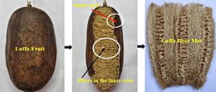 Luffa and Kevlar fiber/nanoclay sustainable thermoset biocomposites: acoustic and tribo-mechanical study