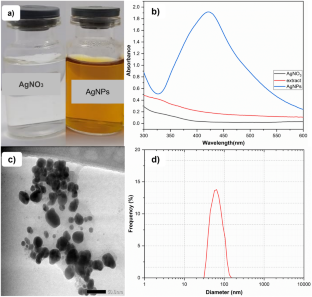 Fabrication of a Fe3O4/CS/AgNPs Composite from Indigenous Iron Sand for Enhanced Methylene Blue Adsorption