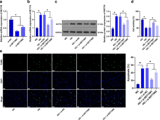 Epigenetic mechanism of SET7/9-mediated histone methylation modification in high glucose-induced ferroptosis in retinal pigment epithelial cells