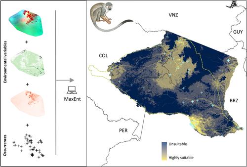 Update of the geographic range of Humboldt's squirrel monkeys (Saimiri cassiquiarensis cassiquiarensis Lesson, 1840) using a model-based approach