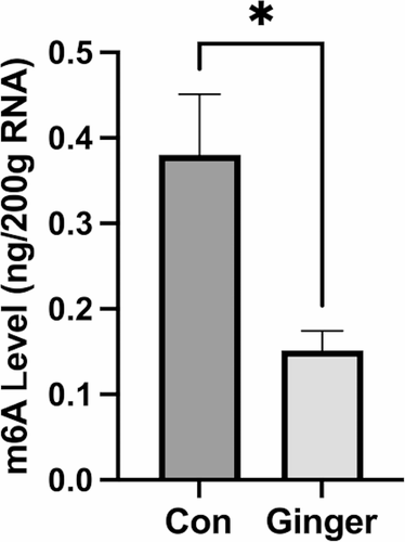 Ginger inhibits the invasion of ovarian cancer cells SKOV3 through CLDN7, CLDN11 and CD274 m6A methylation modifications