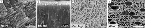 Complexity, disorder, and functionality of nanoscale materials