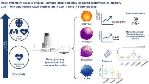 Mass cytometry reveals atypical immune profile notably impaired maturation of memory CD4 T with Gb3-related CD27 expression in CD4 T cells in Fabry disease