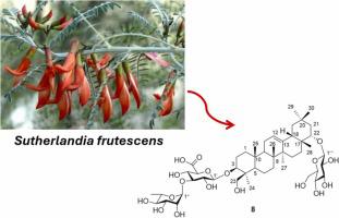 Sutherlandiosides E−K: Further cycloartane glycosides from Sutherlandia frutescens