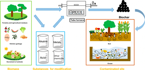 The Application of Biochar as Heavy Metals Adsorbent: The Preparation, Mechanism, and Perspectives