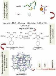 Bioinspired mp20 mimicking uricase in ZIF-8: Metal ion dependent for controllable activity