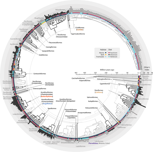 Diet and habitat as determinants of intestine length in fishes