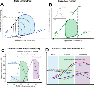 Right Ventricle-Pulmonary Artery Coupling in Patients Undergoing Cardiac Interventions