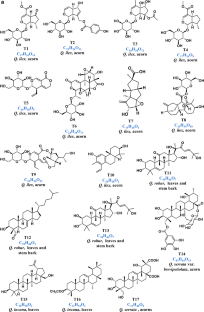 The genus Quercus: metabolites, biological activity and mechanisms of action