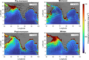 A review on air–sea exchange of reactive trace gases over the northern Indian Ocean