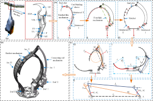 Design and Control of an Autonomous Bat-like Perching UAV