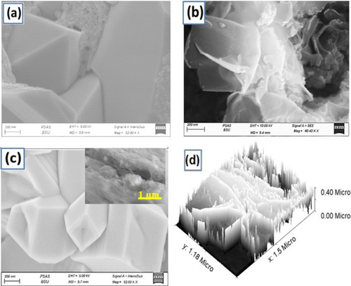 Synthesis of lead-free Cu/CuFeO2/CZTS thin film as a novel photocatalytic hydrogen generator from wastewater and solar cell applications