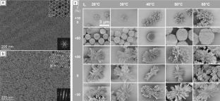 Nanoparticle self-assemblies with modern complexity