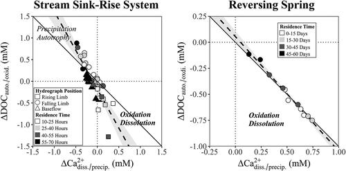 Groundwater-surface water interaction, dissolved organic carbon oxidation and dissolution in carbonate aquifers