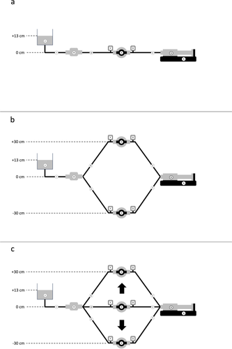 Effect of vertical stopcock position on start-up fluid delivery in syringe pumps used for microinfusions