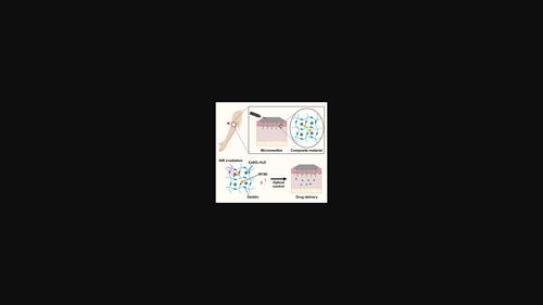 Near-Infrared Triggered Biodegradable Microneedle Patch for Controlled Macromolecule Drug Release