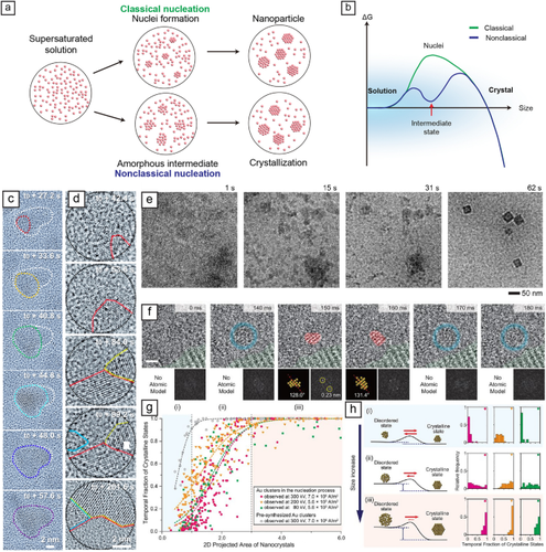 Recent advances in liquid phase transmission electron microscopy of nanoparticle growth and self-assembly