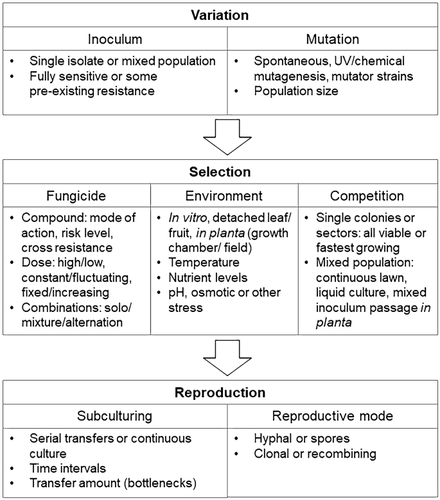 Assessing the predictability of fungicide resistance evolution through in vitro selection