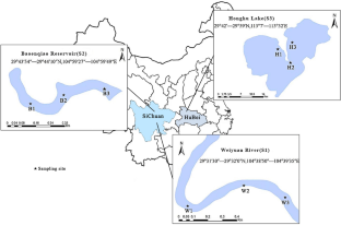 New Perspective into the Impact of Drying Pretreatment on Phosphorus Performance in Sediments