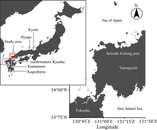 Age, growth, and estimation of the age-length key for Japanese flounder Paralichthys olivaceus in the southwestern Sea of Japan