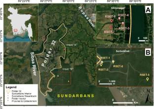 Elevation Dynamics Between Polders and the Natural Sundarbans of the Ganges-Brahmaputra Delta Plain