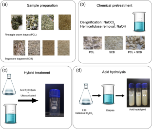 Investigating a hybrid approach for harvesting nanofibrillated cellulose from agricultural byproducts: sugarcane bagasse and pineapple crown leaves