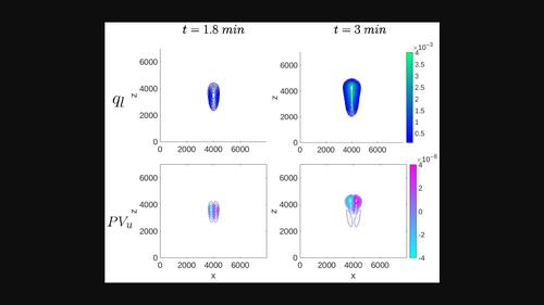 Non-conservation and conservation for different formulations of moist potential vorticity