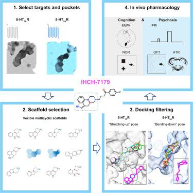 Flexible scaffold-based cheminformatics approach for polypharmacological drug design.