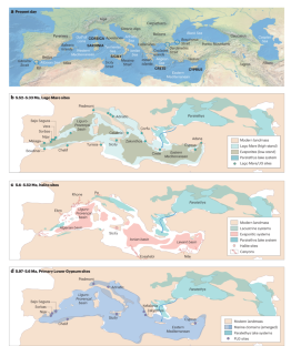 Causes and consequences of the Messinian salinity crisis