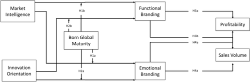 Born Global Maturity: Strategic Aspects and Performance Consequences