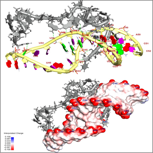 Functionalized siRNA-chitosan nanoformulations promote triple-negative breast cancer cell death via blocking the miRNA-21/AKT/ERK signaling axis: in-silico and in vitro studies