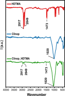 Novel Modified Natural Clinoptilolite for Perfluorooctane Sulfonate (PFOS) Removal from Aqueous Solutions