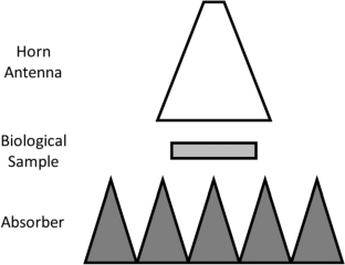 A New Setup for Microwave Exposure to Pathogenic Samples