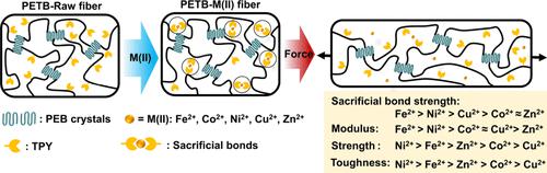 Effect of Coordination Sacrificial Bond Strength on Toughening Properties of Polyesters