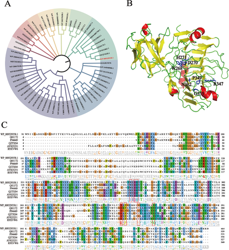 Efficient expression of an alkaline pectin lyase from Bacillus licheniformis in Pichia pastoris