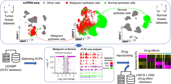 Drug repositioning for immunotherapy in breast cancer using single-cell analysis