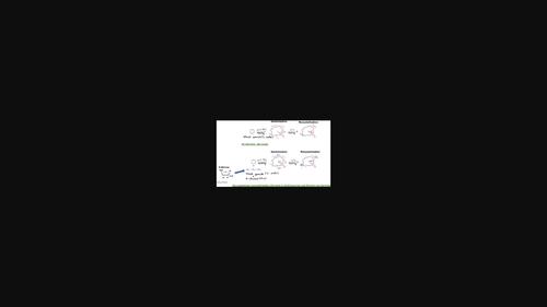 The Effects of D‐Allulose on the Gelatinization and Recrystallization Properties of Starches from Different Botanical Sources