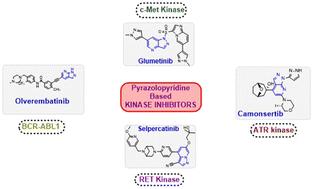 Pyrazolopyridine-based kinase inhibitors for anti-cancer targeted therapy†