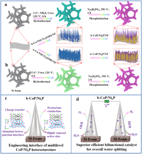 Synergism of electronic modulation and geometric architecture: bimetallic phosphide heterostructure on nickel foam for efficient water splitting