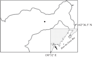 A Comparative Assessment of Content of a Number of Heavy Metals in Soft Tissues of Mytilus trossulus A. Gould, 1850, Mytilus galloprovincialis Lamarck, 1819 (Bivalvia, Mytilidae) and their Hybrid Forms from Minonosok Bay of Peter the Great Bay (Sea of Japan)